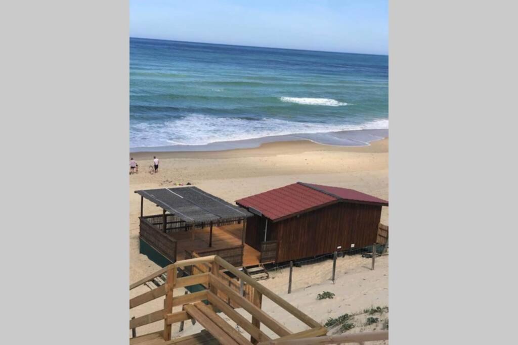 Maison A 300M De La Plage, Quartier Calme Mimizan Ngoại thất bức ảnh